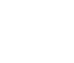 Arab American Institute